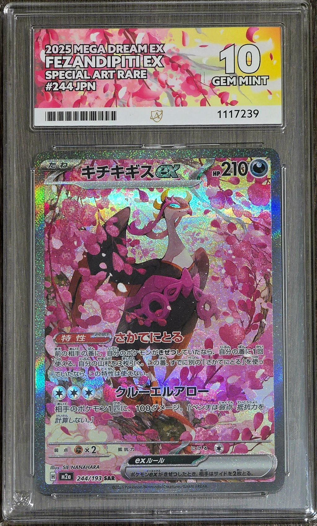 Fezandipiti ex #244 JPN SAR - ACE 10