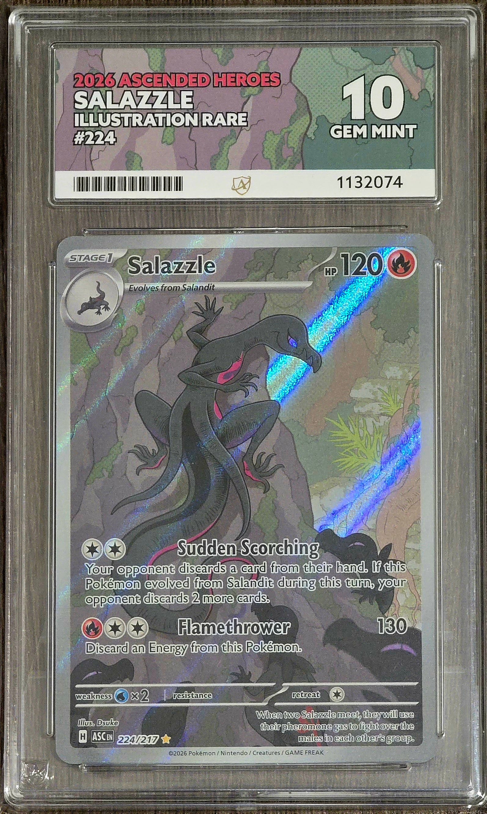 Salazzle #224 IR - ACE 10